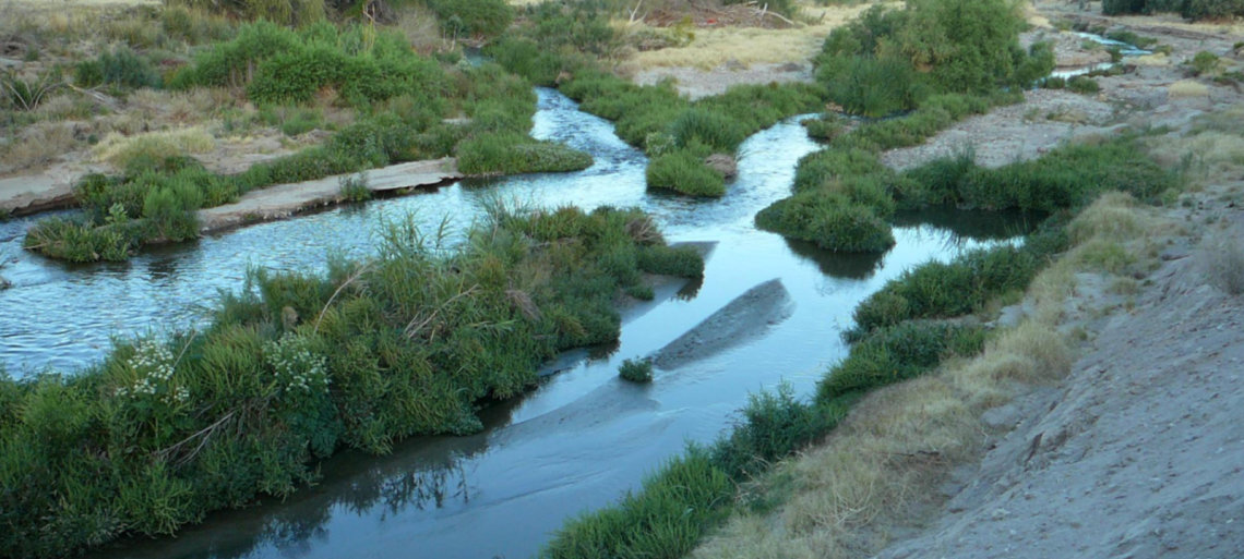 photo of riparian area in Tucson Basin