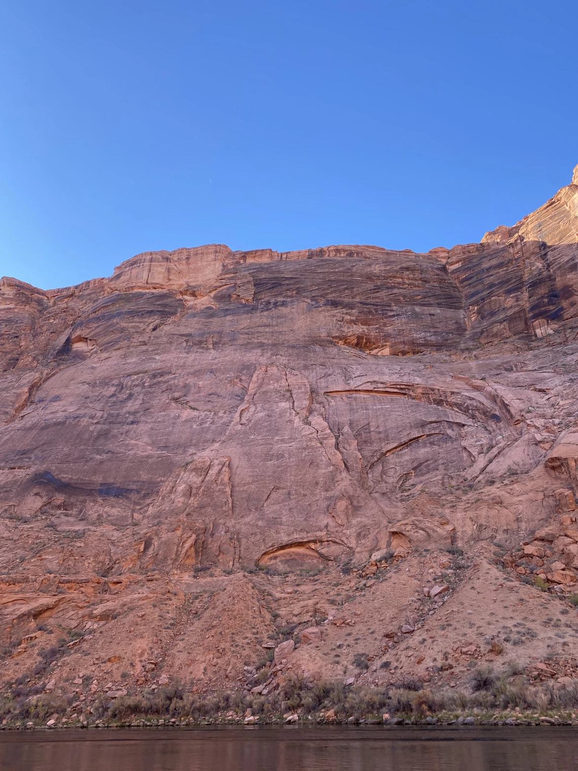 Camilo Salcedo; The howling coyote; Marble Canyon, AZ; 2022