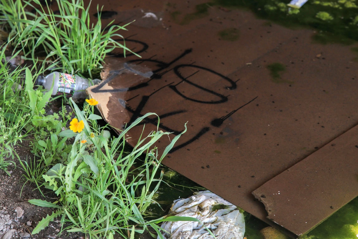 Donna Corbin photo showing waste in wash