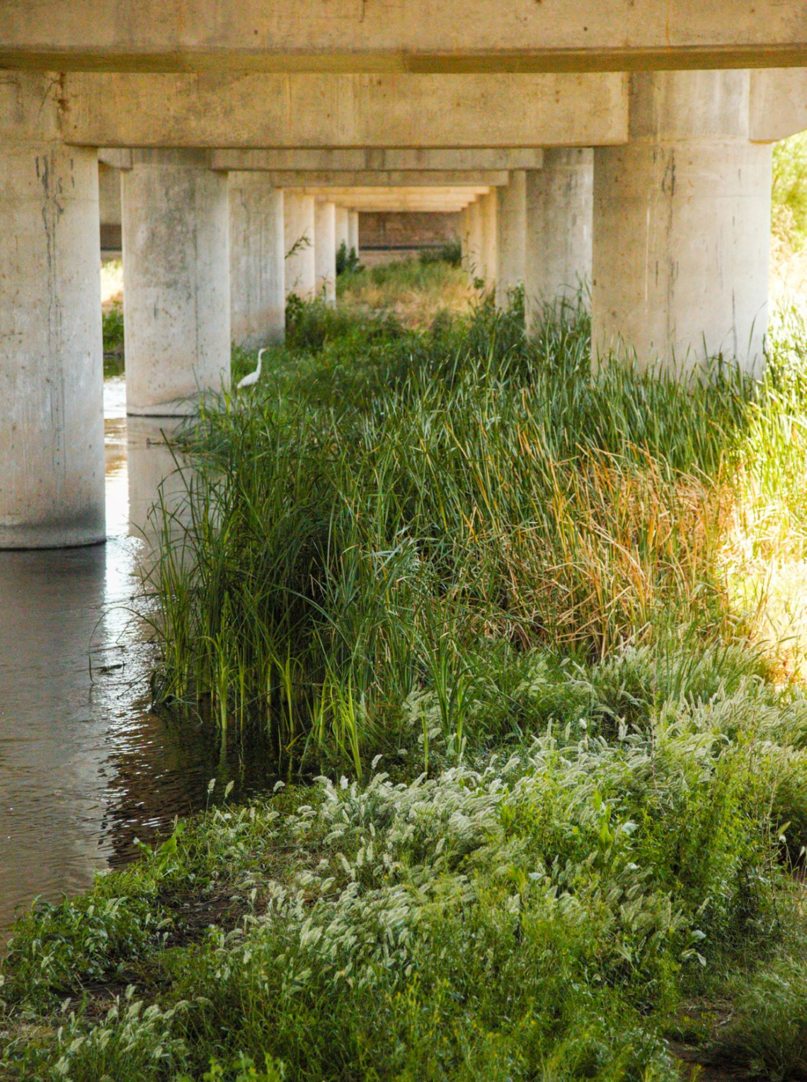 Donna Corbin photo showing water under a bridge