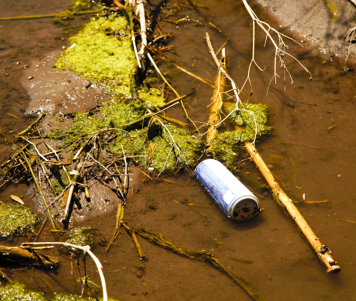 Donna Corbin photo showing waste in wash