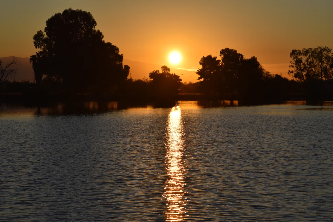 Amy Fee photo showing silverbell lake in tucson arizona at sunset. The sky has an orange cast and the trees surring the lake form a silhouette. 