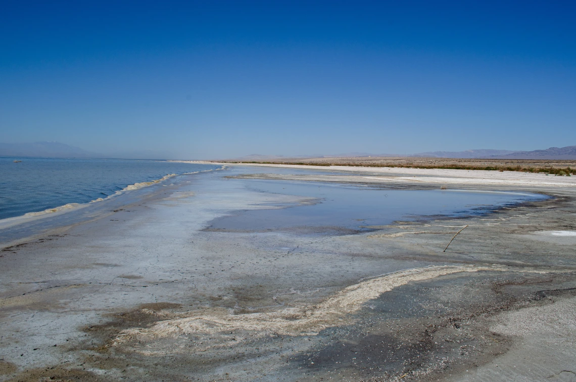 Marilyn Marron photo showing the salton sea. Salt desposits are visable as is a blue sky