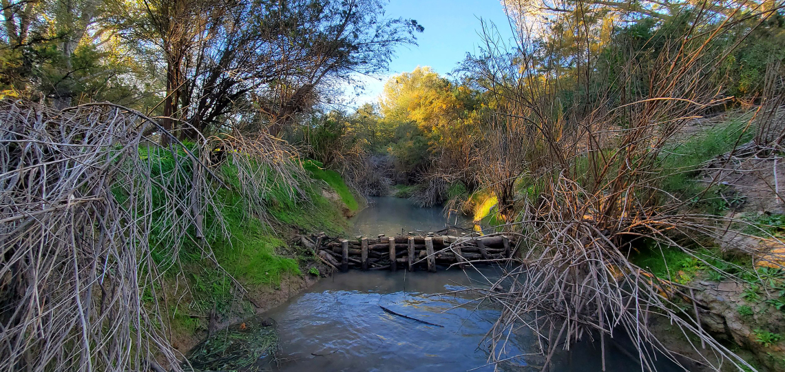Matt Minjares; Beaver dam analog; San Pedro River, AZ; 2022
