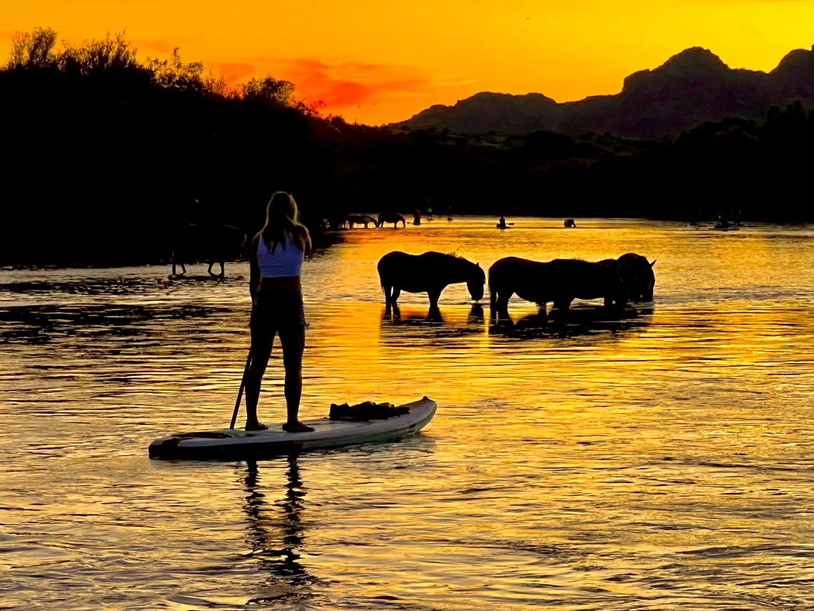 Nathan Nutter photo showing horses drinking on the salt river at sunset. Mountains can be seen in the background and the horses are shown in sillhoutte. This photo also shows a paddle border.