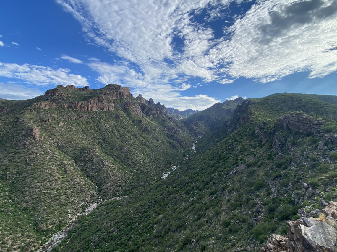 Doug Parsons Post-monsoon; Bear Canyon; Tucson, AZ; 2022