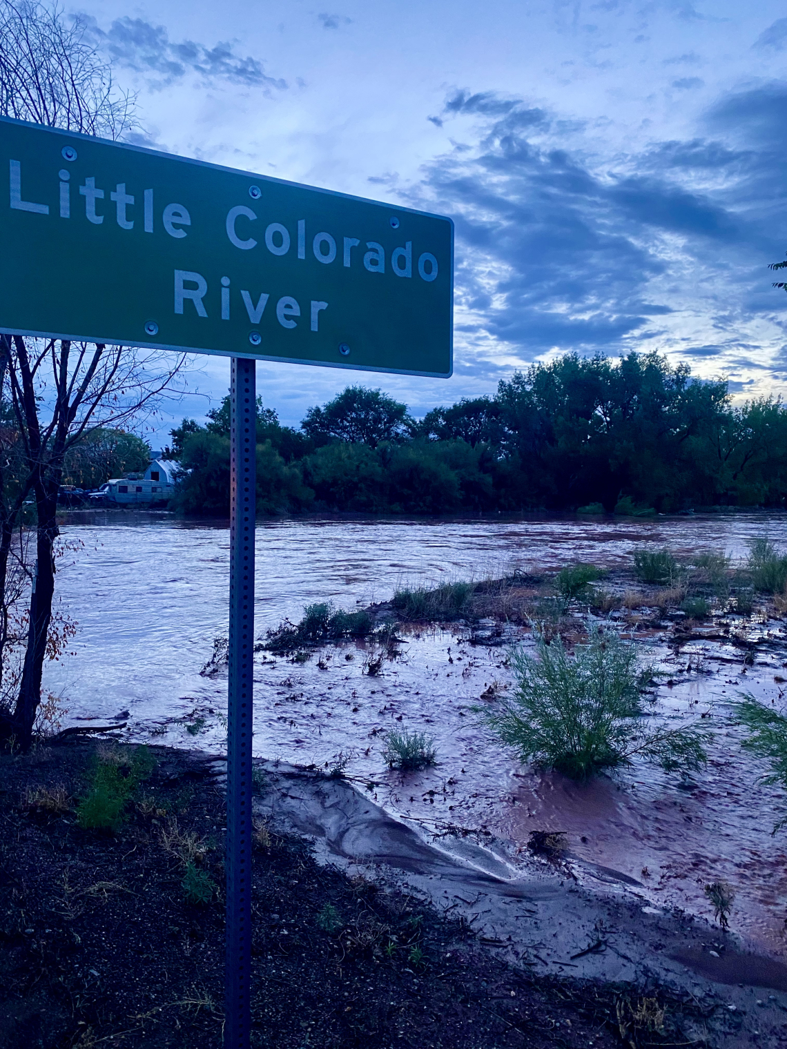 Holly Winters photo showing flooding on the little colorado river