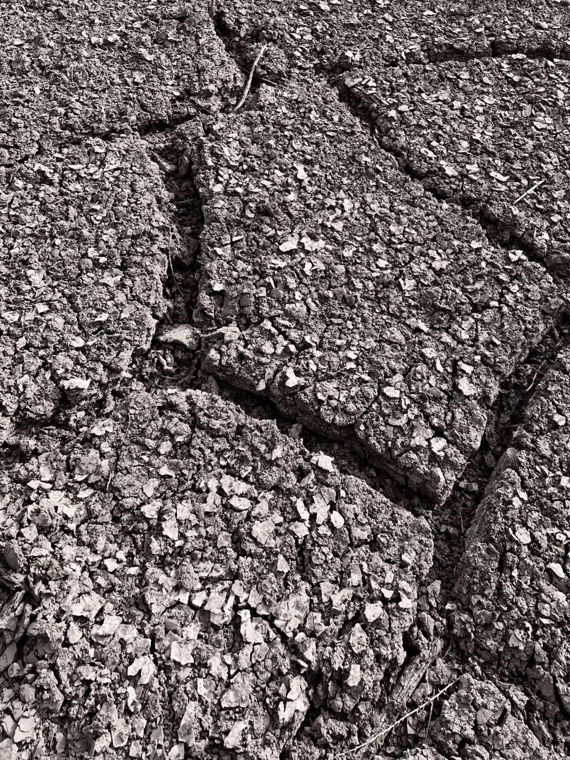 Holly Winters photo showing a dry lake bed