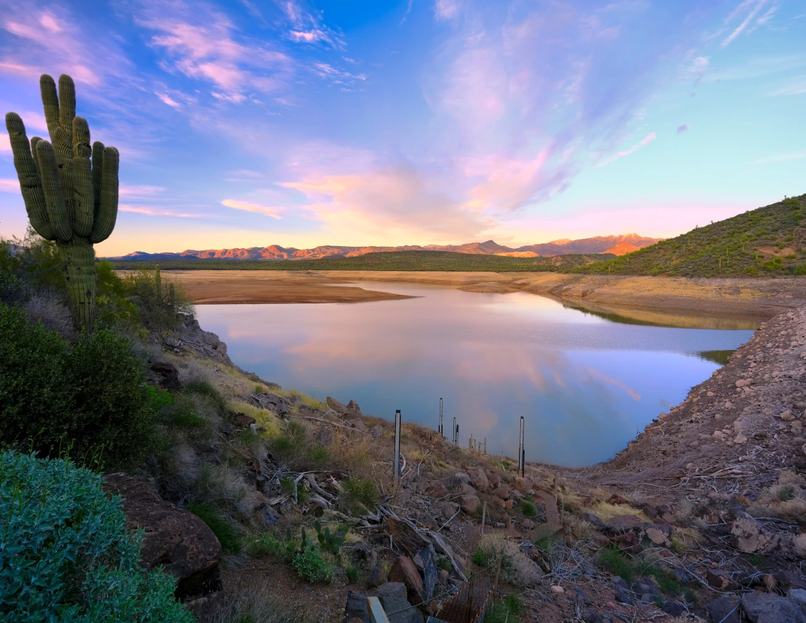 Ted Wuollet photo showing Horshoe Dam Reservoir in the evening with a cactus toward the front and purple clouds and blue sky in the background