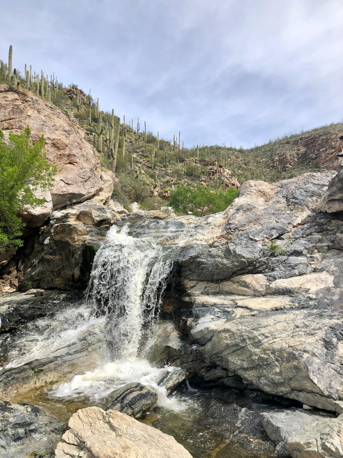 Noah Cannold - Arizona Water Abundance, Tucson, AZ, 2023