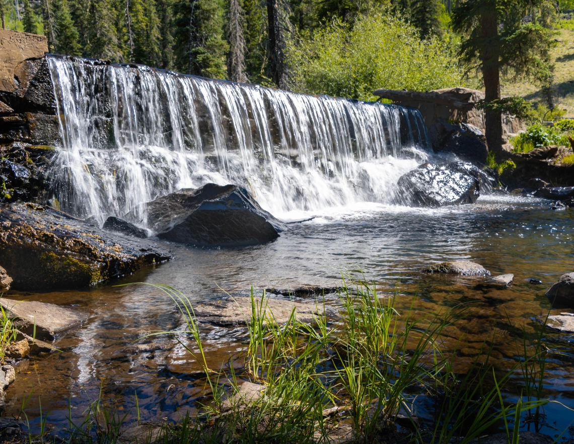 Kristopher Drozd - Trout Barrier, Thompson Trail, Greer, AZ, 2023