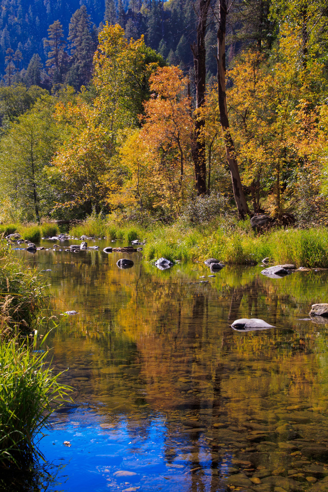 Kim Holmes - Fall Reflections on Oak Creek, Sedona, AZ, 2023