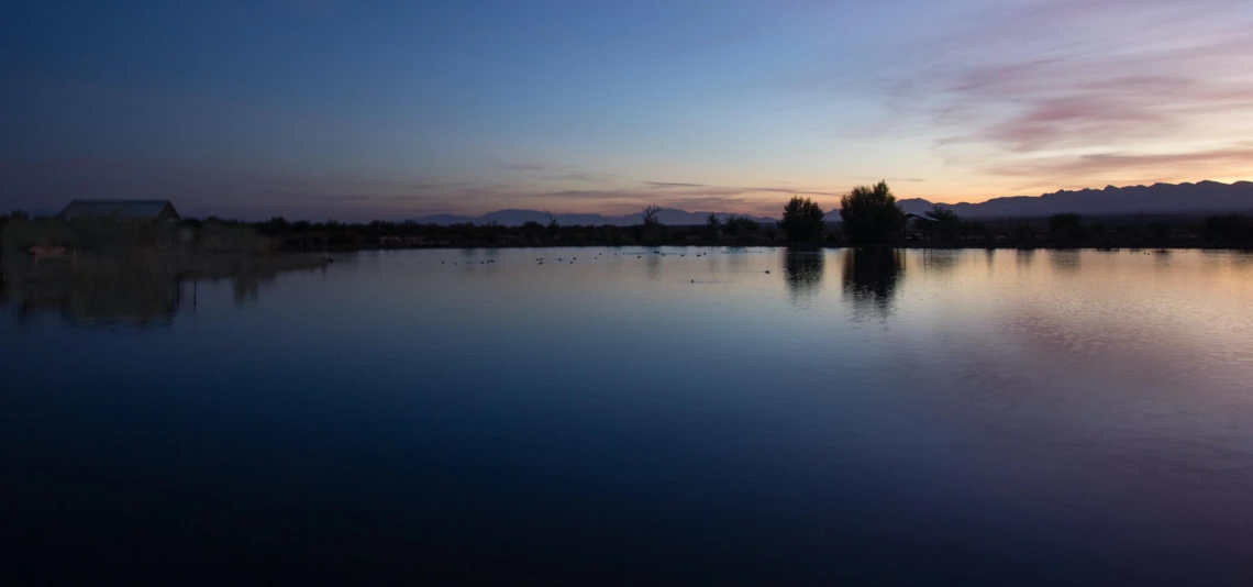 Kim Holmes - A Conoa Lake Morning, Green Valley, AZ, 2020