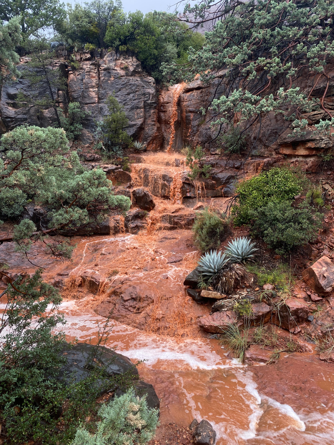 Chad Kwiatkowski - Wilson Canyon Waterfall, Sedona, AZ 2021