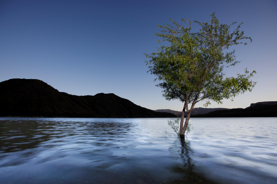 Dave Wilson - Apache Flood, Apache Lake, AZ, 2023