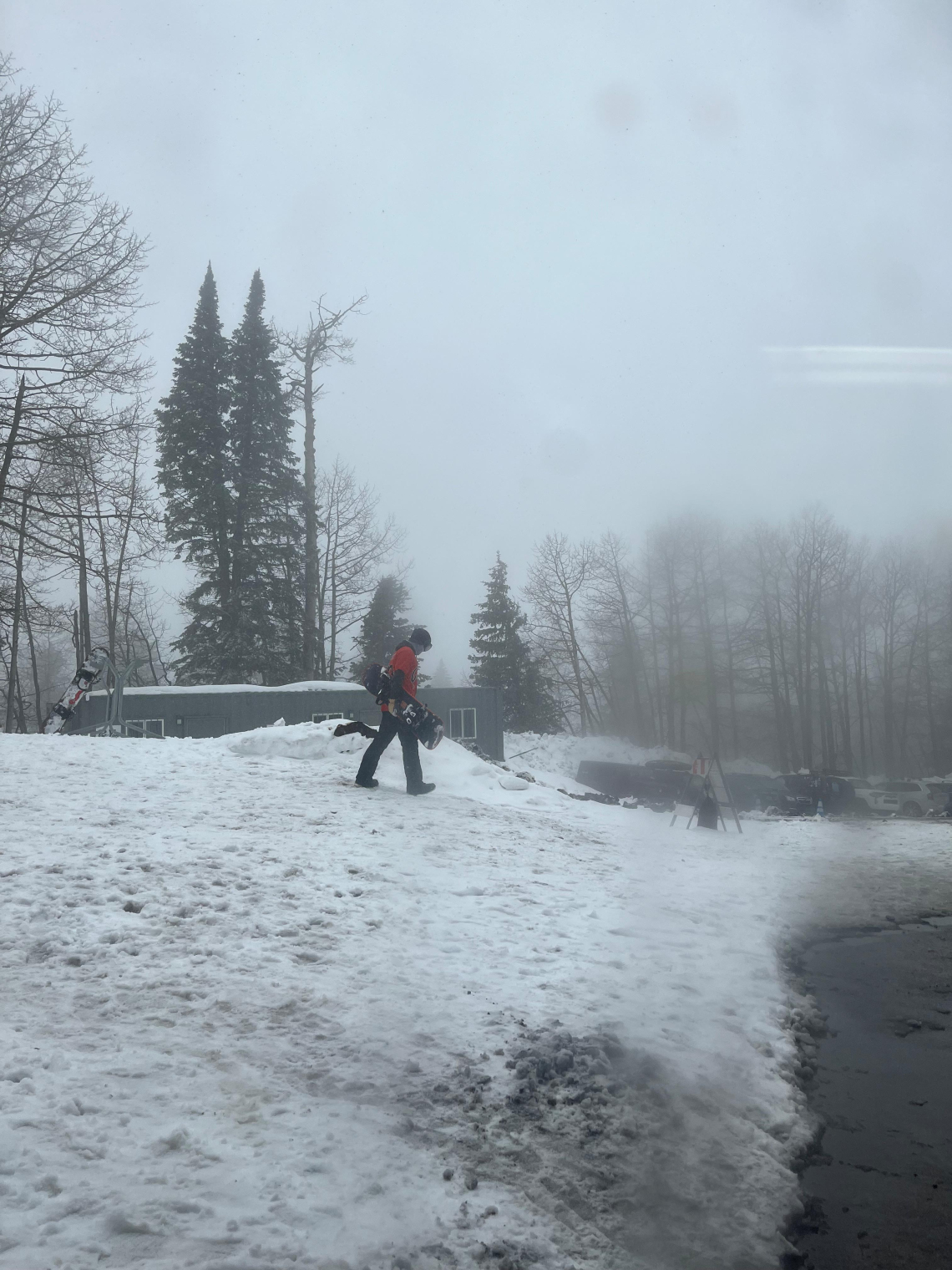 Alex Winter - Walking Through Misty Mountain