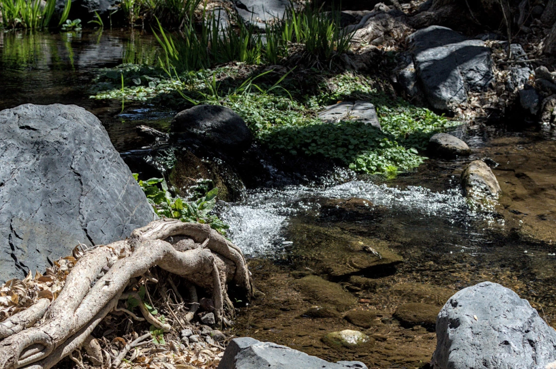 photo of a river or stream with rocks on the edge