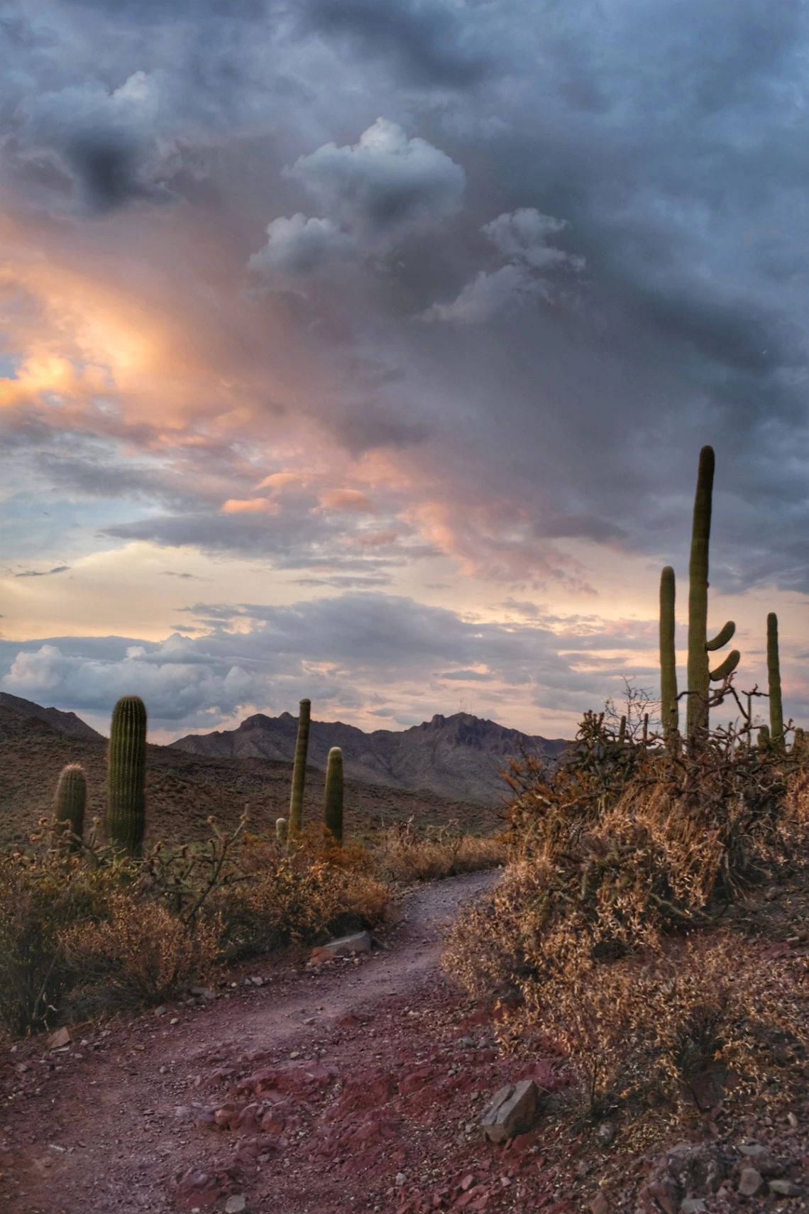 a trail in the desert with a colorful cloudy sky