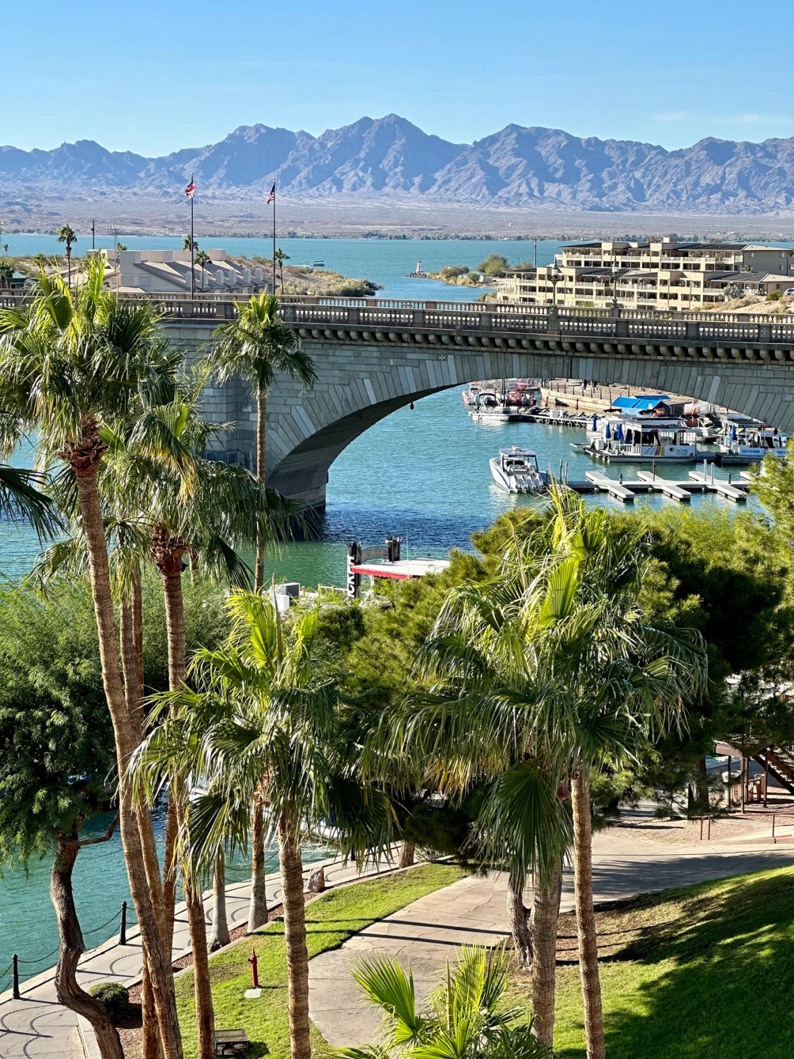 photo of lake havasu showing water, palm trees, and a bridge