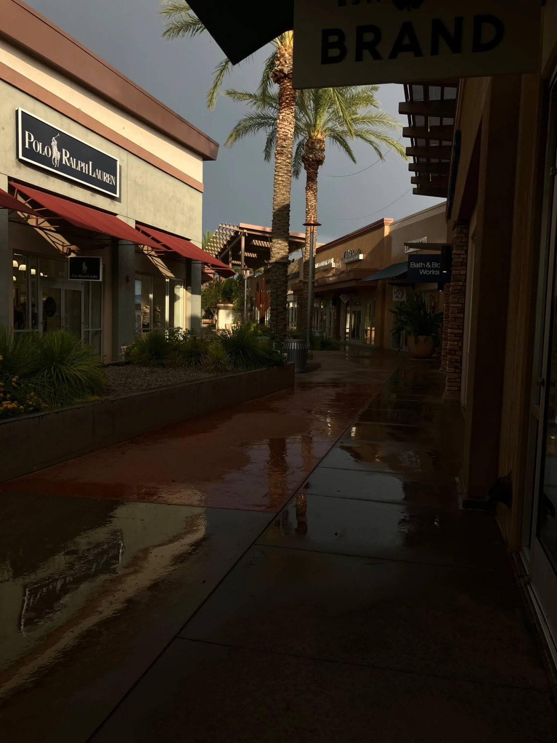 photo of businesses with palm trees during rain storm