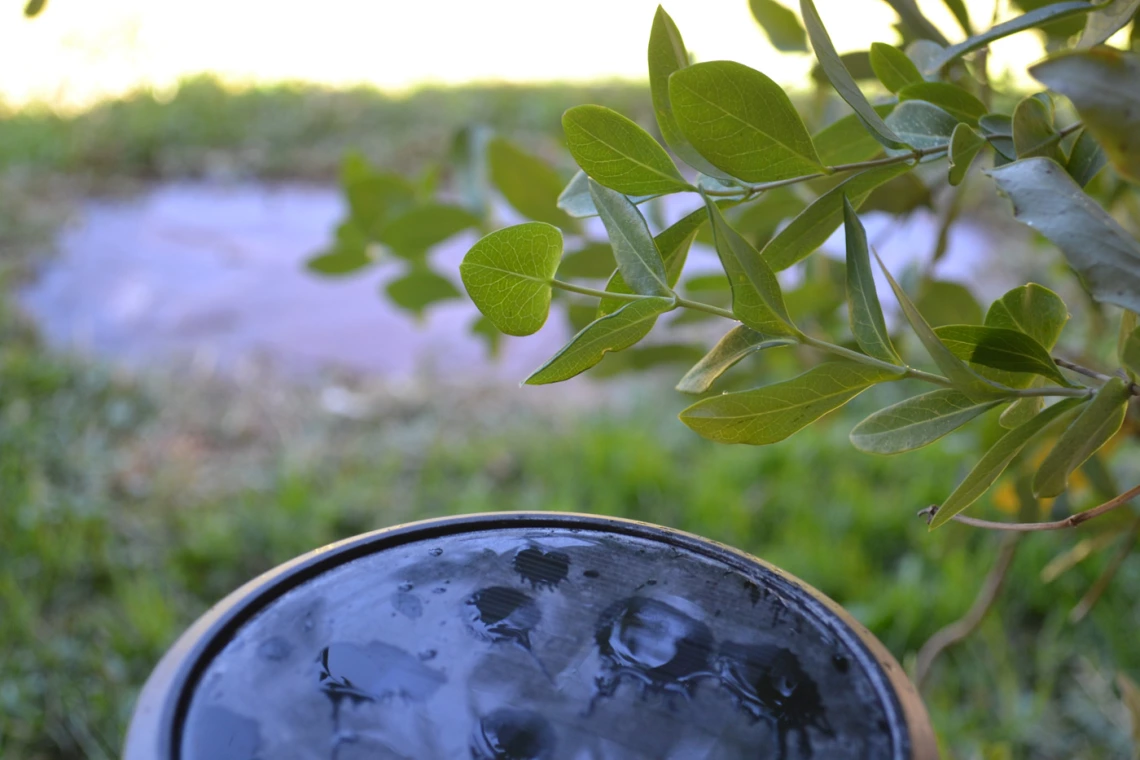 photo showing raindrops in a bird bath