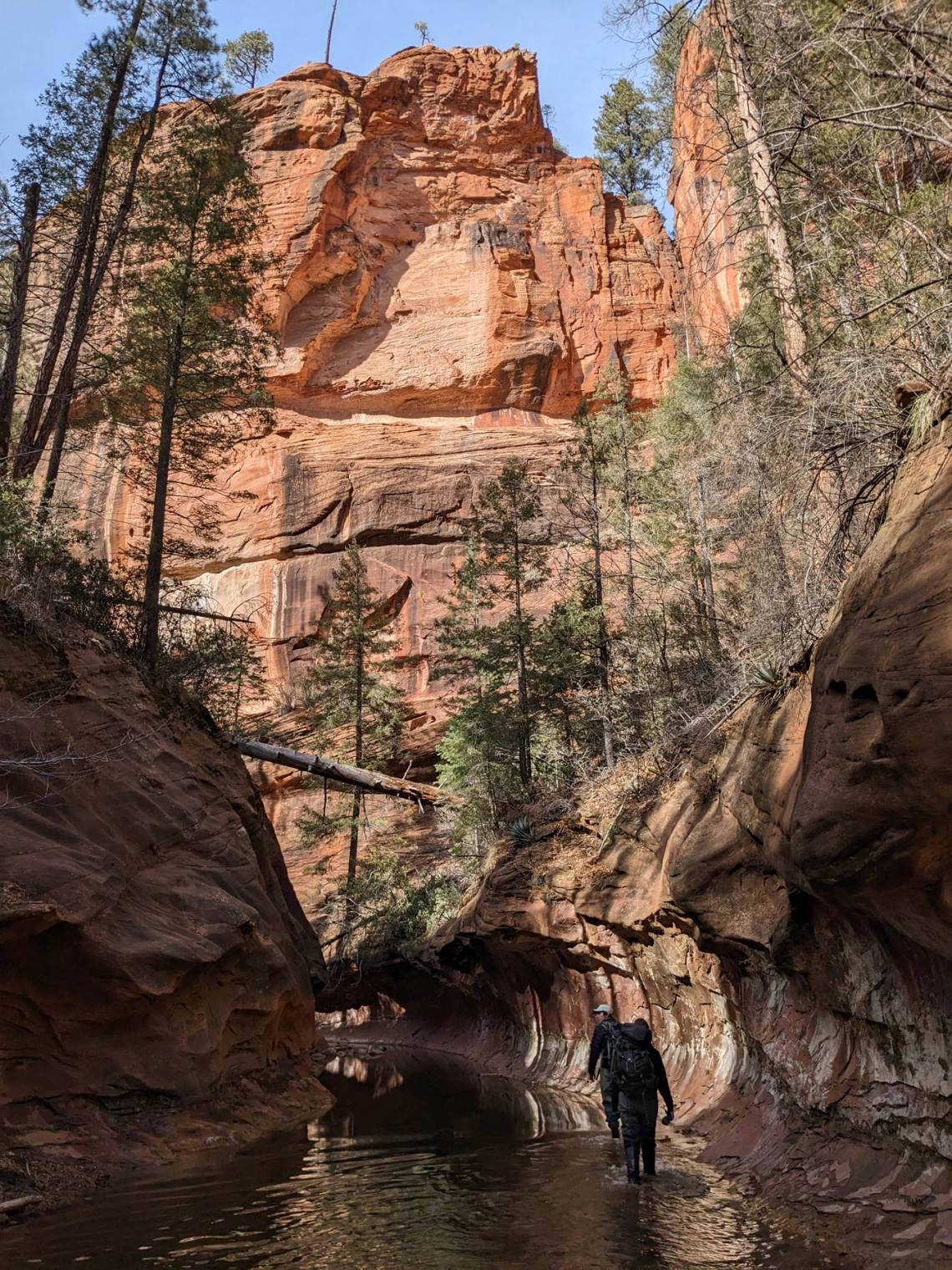 photo showing oak creek and red rock walls on a sunny day