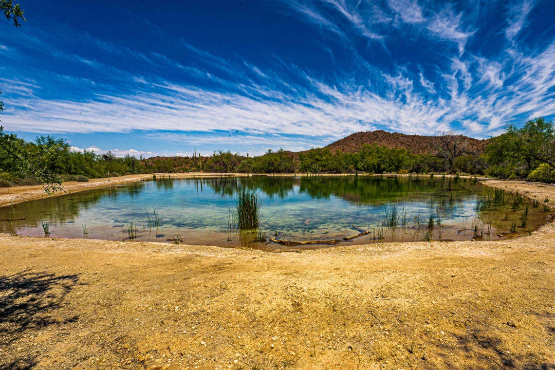 a pond in organ pipe cactus national monument