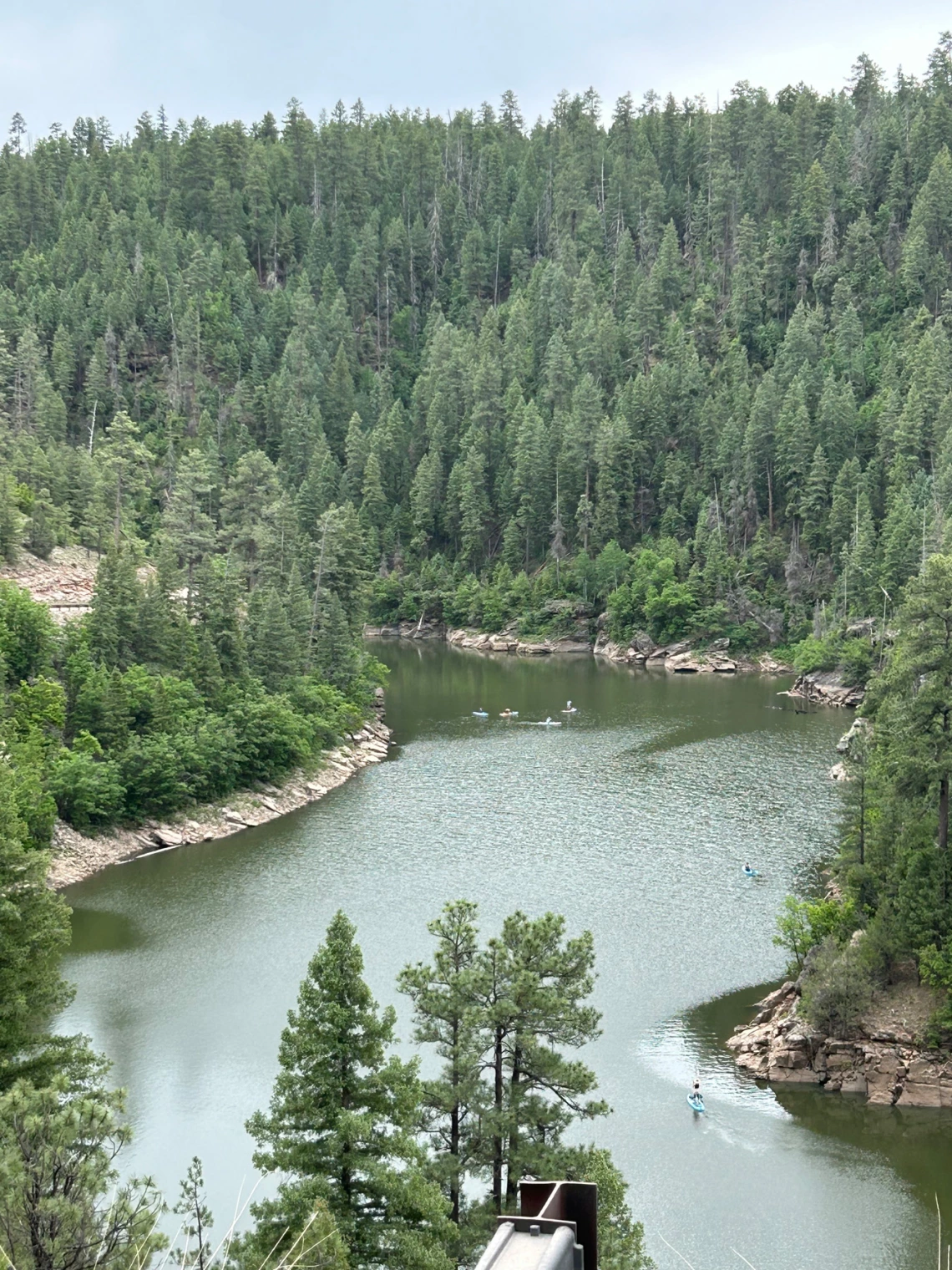 photo of blue ridge reservoir showing people engaged in water activites. green pine trees surround