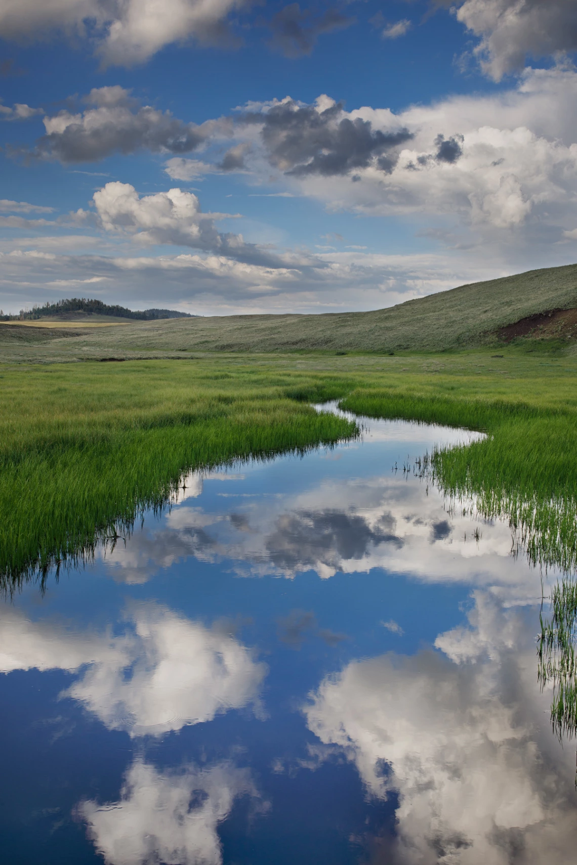 photo showing burro creek with green grass banks and reflected blue sky and clouds