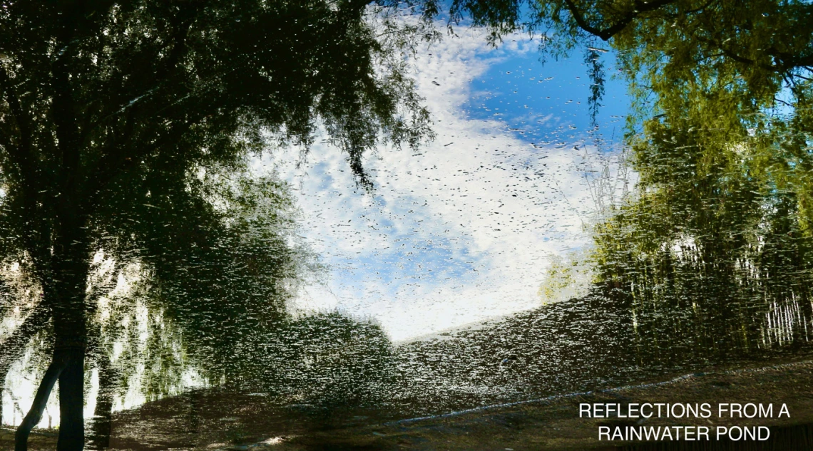 a rainwater pond showing a reflection of the blue sky and white clouds