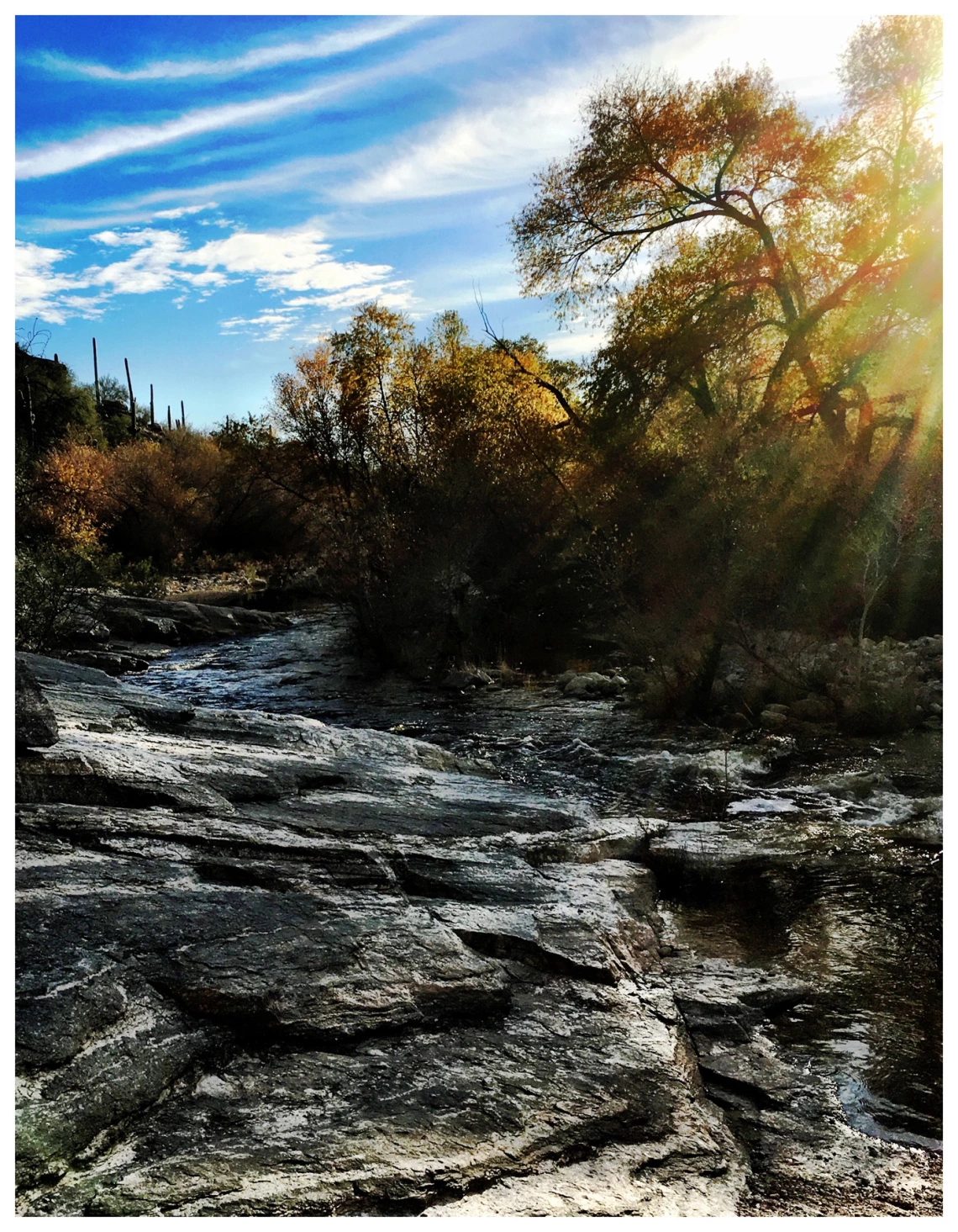 photo showing rocks and water at sabino canyon