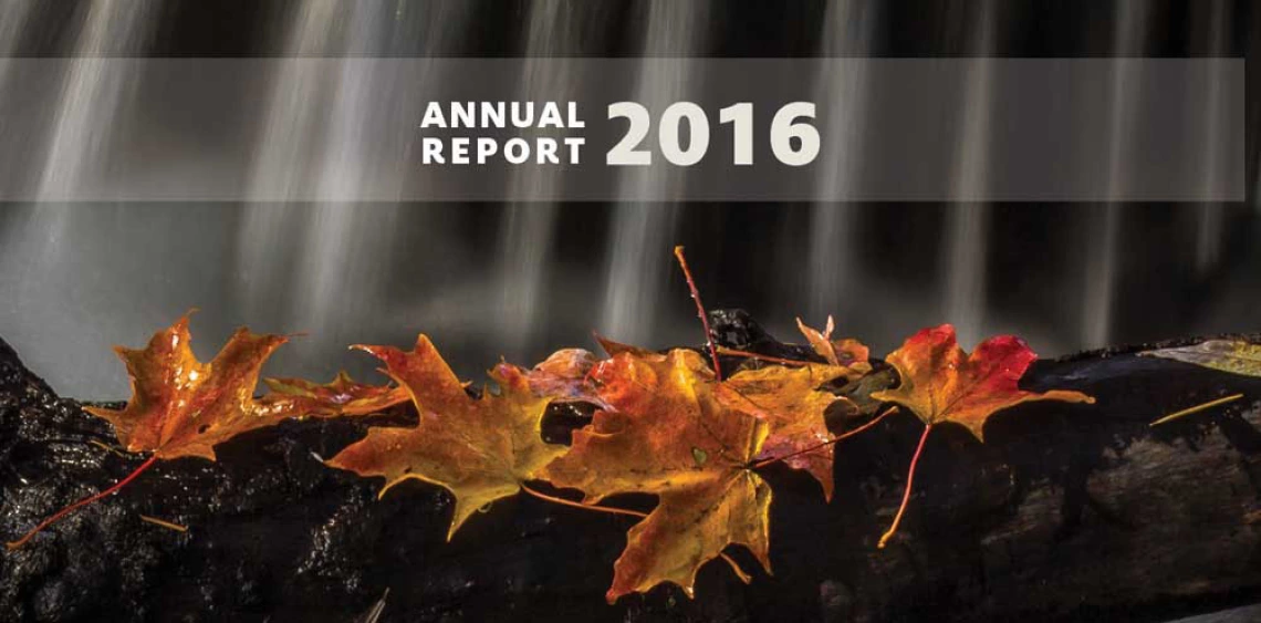 annual report 2016 cover 2016