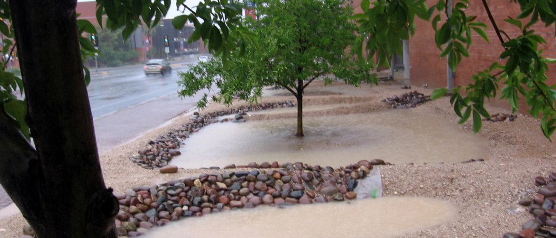 rainwater harvesting on campus