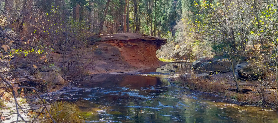 Brown Bag Webinar: Water for Nature | Water Resources