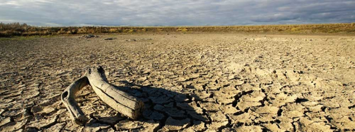 Image of parched land