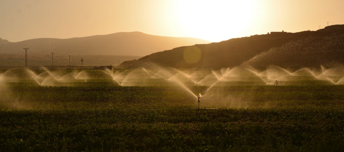 Water spraying a field