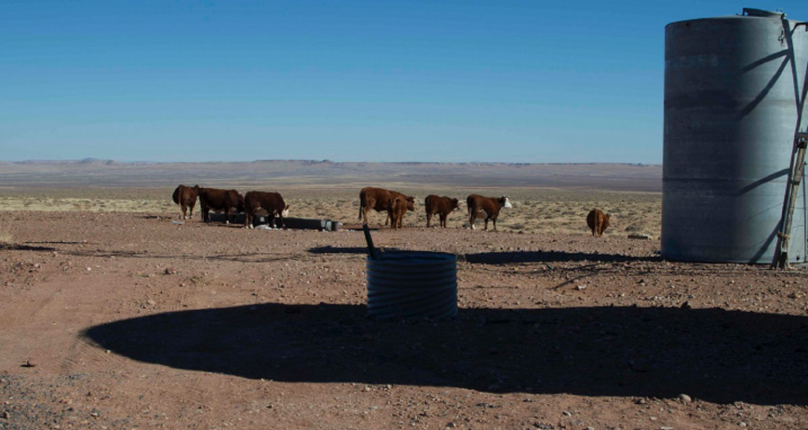 Navajo Solar Desalination 