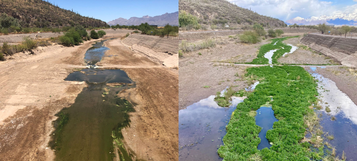Tucson Water aquifer banking and riparian restoration projects