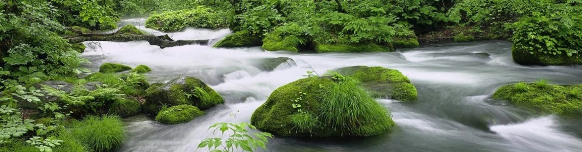 Image of a river in Virgina