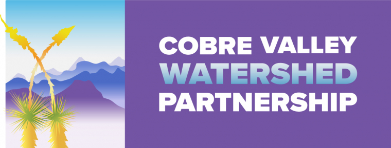 cobre valley watershed partnership logo