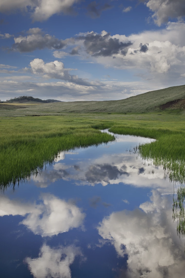 Dave Wilson - Burro Creek, 2024 White Mountains, AZ