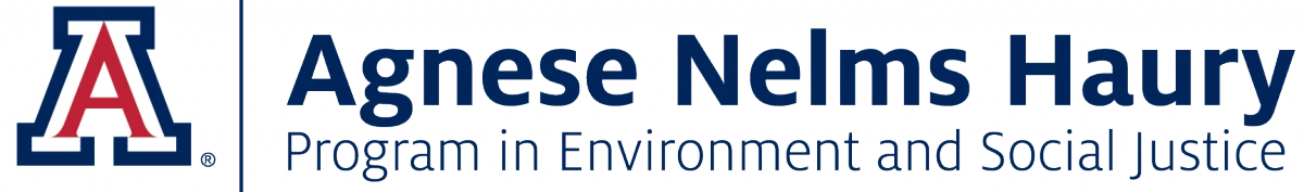 The Agnese Nelms Haury Program logo