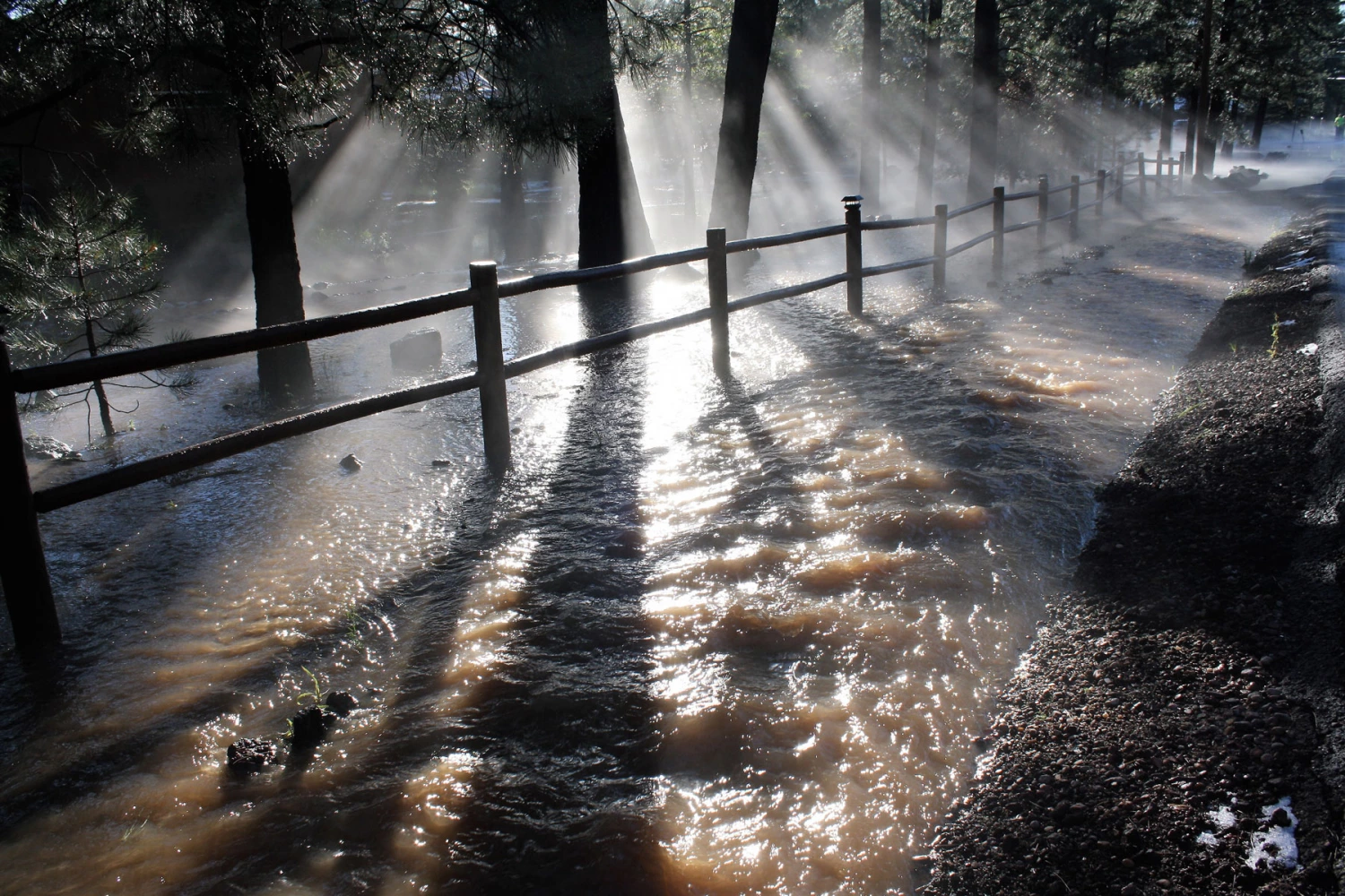 Annette Coffey - August Flood in Pinetop, 2013