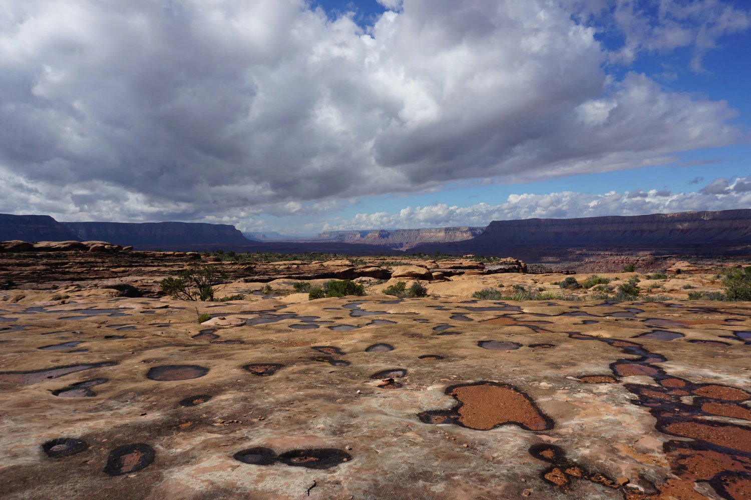 Lauren Hixson - Pools on the Esplanade, Grand-Canyon, 2018