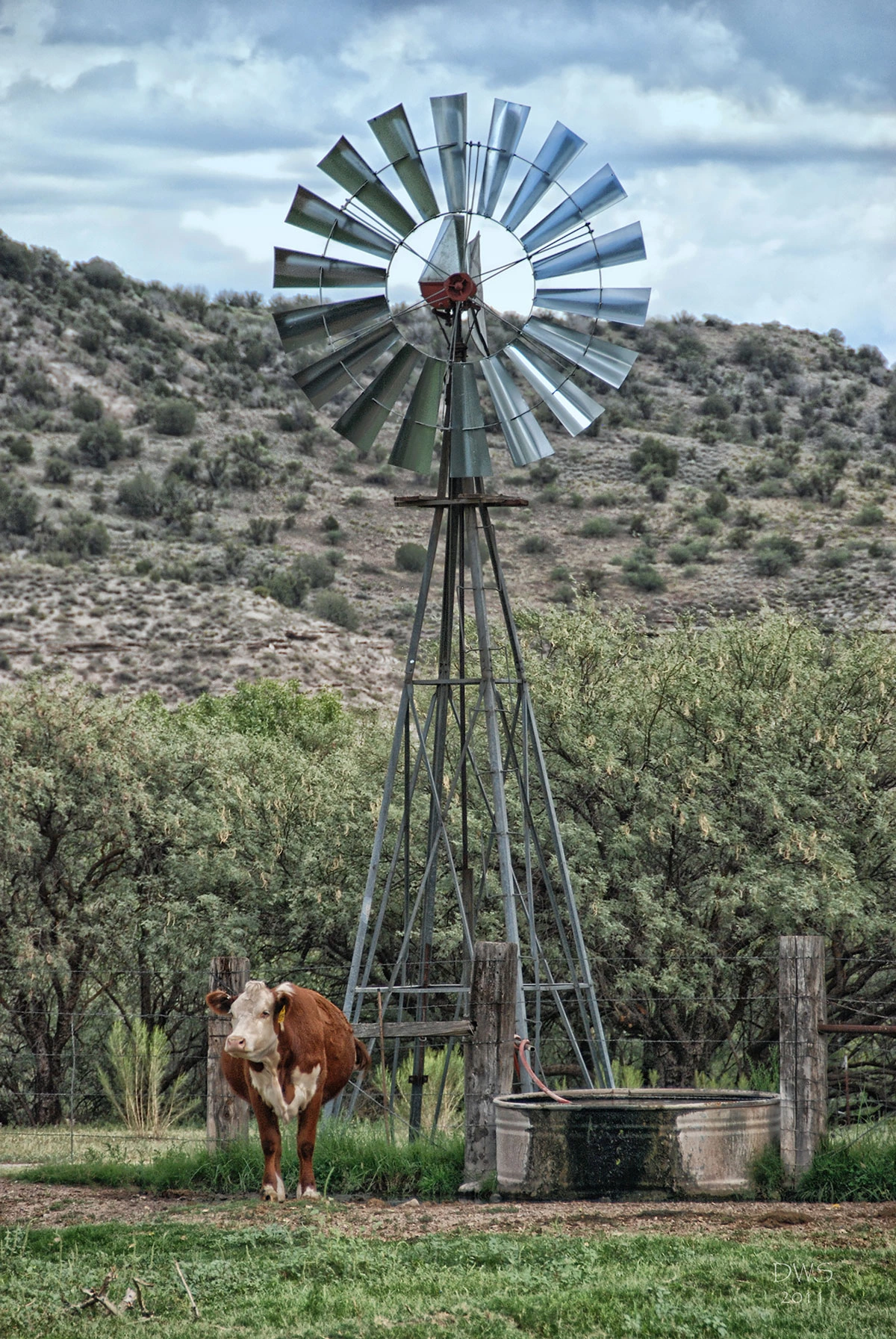 David Schafer - Waiting by the Windmill Camp Verde