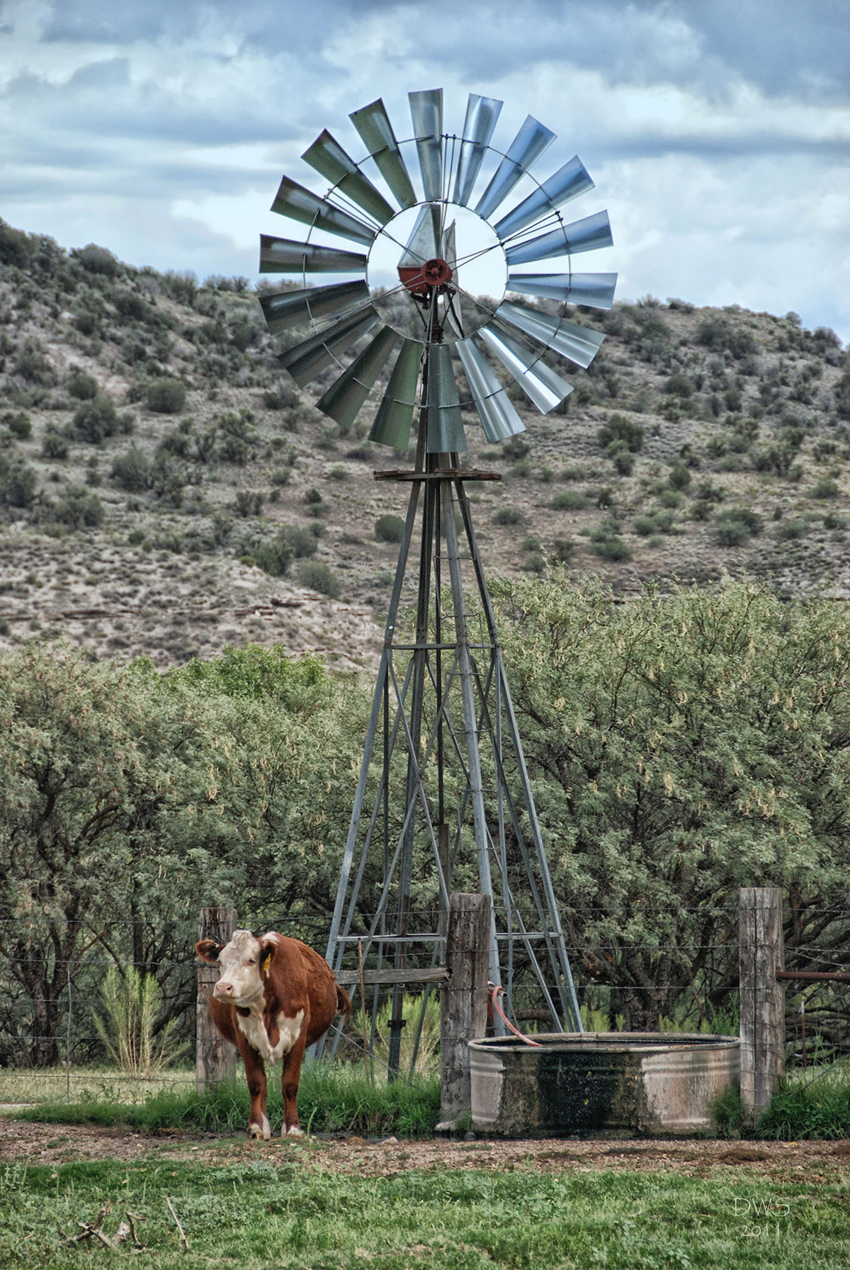 David Schafer - Waiting by the Windmill Camp Verde
