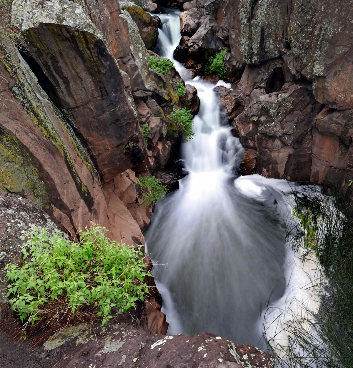 Alexander Wood - Picture Canyon Waterfall 2016