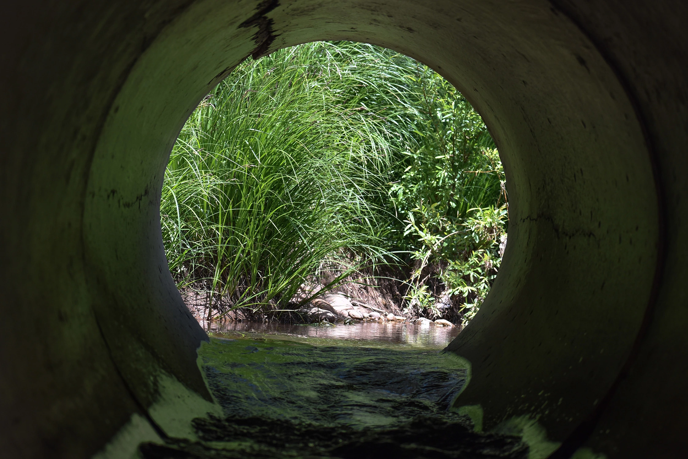 Cindy Rettinger - Pipe - East Verde River