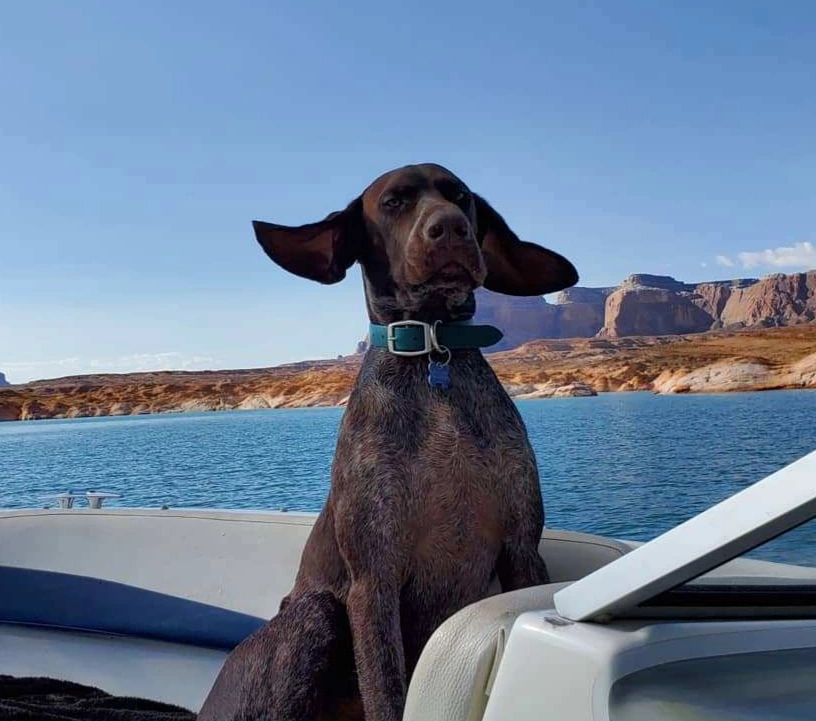 Cyndi Ruehl - Catching the Wind - Lake Powell, 2019