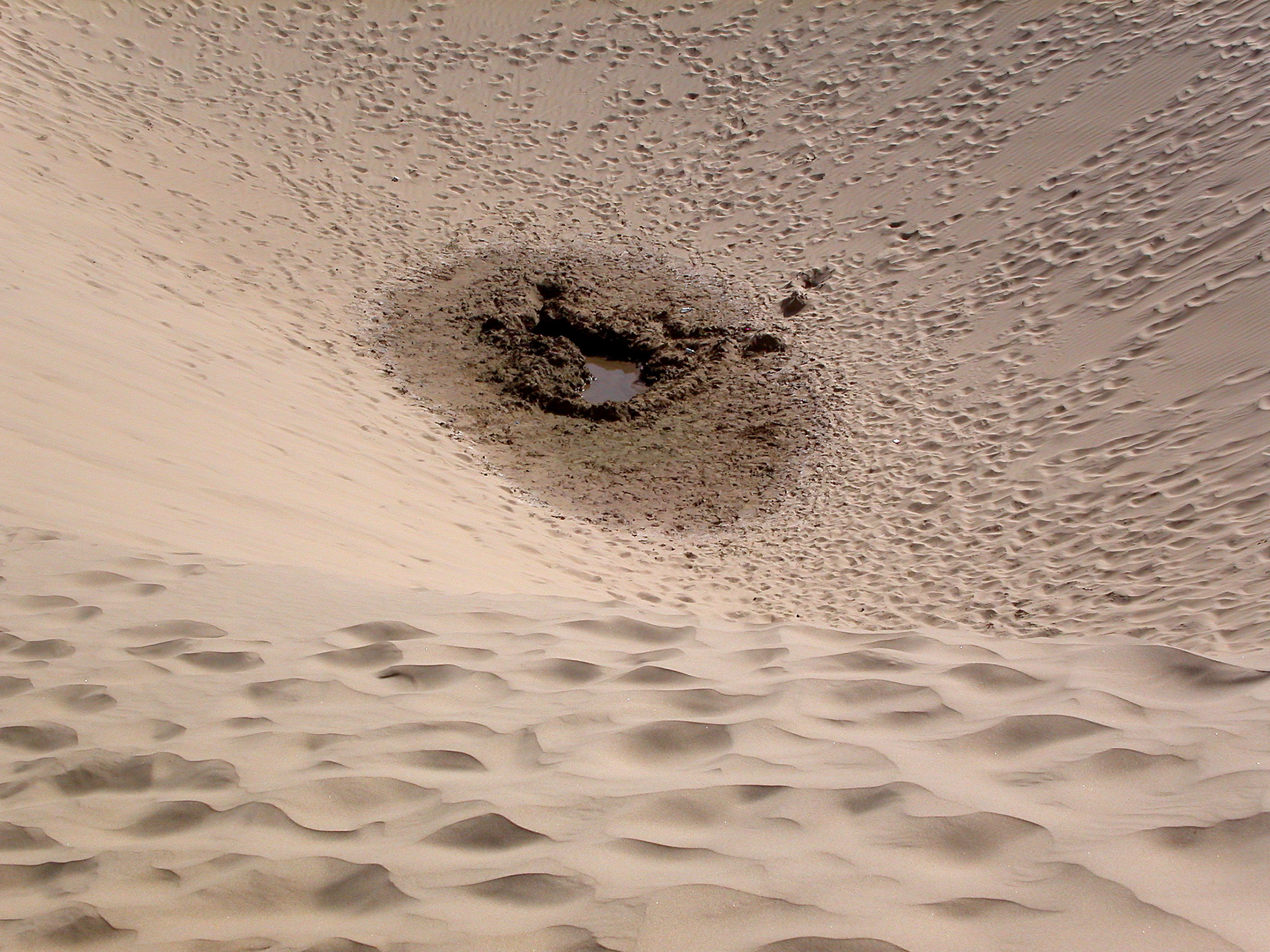 Robert Varady - Waterhole Dune in the Taklamakan Desert - Xinjiang, China, 2006